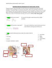 Homework 4 PSYCH 230 Individual Review Homework 4 Units 5 And 6