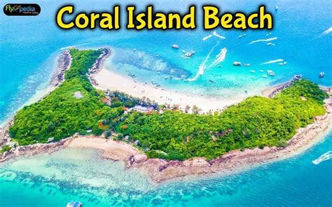 Coral Island