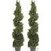 Amazon Two Foot Inch Artificial Cypress Spiral Trees Potted