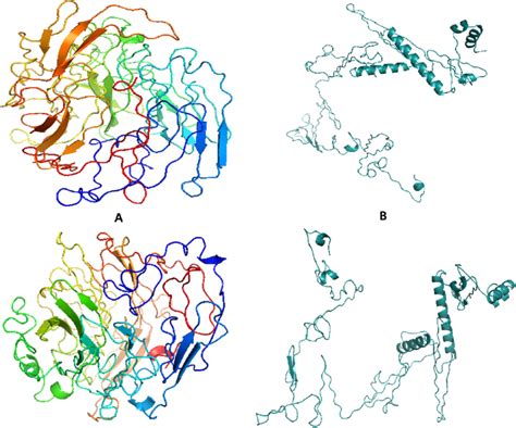 Modeling And Refinement Of 3 Dimensional 3d Structure Of V1 And V2