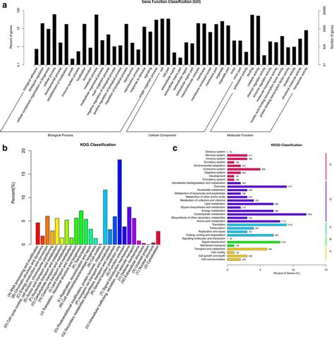 Functional Classification Of The Assembled Unigenes A Functional