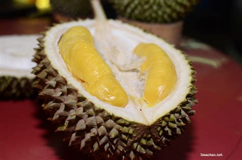 Isaactan.net: A Durian Feast of Musang King and Black Thorn Durians ...