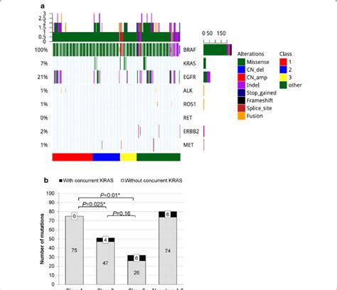 Concurrent Oncogenic Mutations Based On BRAF Mutation Class A Mutation