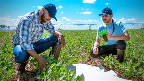 Produ O De Sementes Na Era Da Agricultura Digital Syngenta Digital