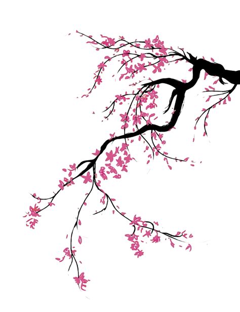 Sakura Cherry Blossom Trees Clipart Graphic By Birch Designs · Creative