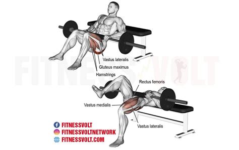 Barbell One Leg Hip Thrust Glutes Fitness Volt