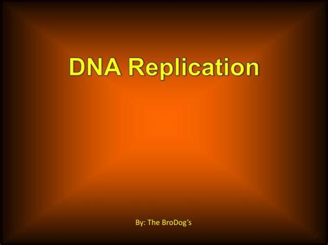 Ppt Dna Replication Powerpoint Presentation Free Download Id2854306