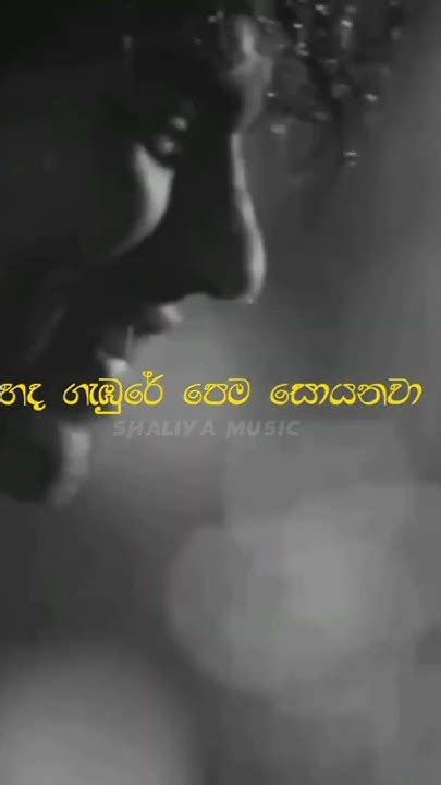 සද සාවි සද ඇති තුරා 🥰 Sada Savi Sada Athi Thura Shortvideo Musicvideo Musiclyrics Shortvideo