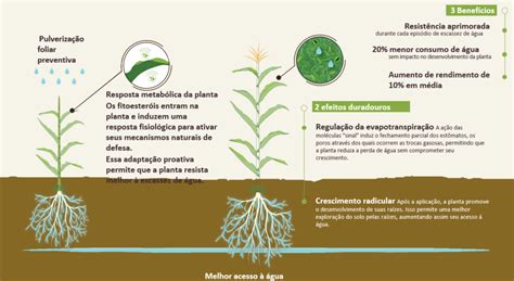 Fitoesteróis Potencializando Sustentabilidade e Resiliência na Saúde