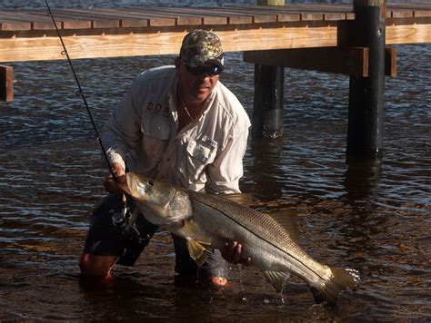 South Florida Snook Secrets Sport Fishing Mag