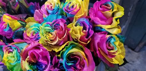 Rainbow Roses — Pike Place Flowers