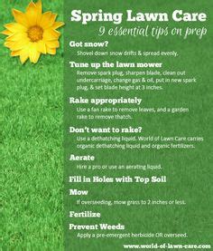 23 Lawn Care Tips ideas | lawn care tips, lawn care, lawn