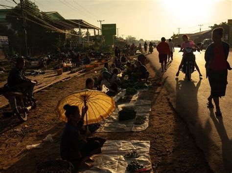 The Victims Of Agent Orange The Us Has Never Acknowledged Portside