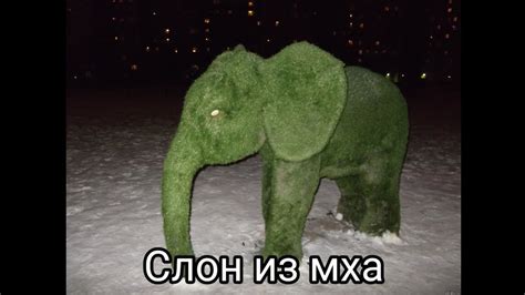Слон из мха - YouTube