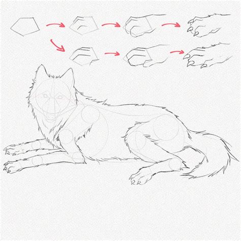 How To Draw A Wolf A Step By Step Tutorials Artlex Wolf Sketch