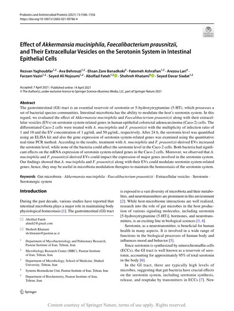 Effect Of Akkermansia Muciniphila Faecalibacterium Prausnitzii And