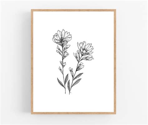 Indian Paintbrush Ink Sketch Print / Printable / Art / Digital - Etsy