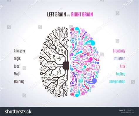 Left Right Brain Functions Concept Analytical Stock Vector (Royalty ...