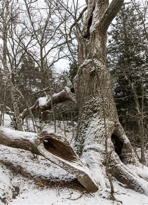 Värdefull individ - Fotosidan