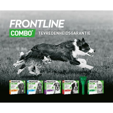 Frontline Combo Spot On Anti Vlooien en Teken Druppels Kat vanaf 1 kg 6 ...