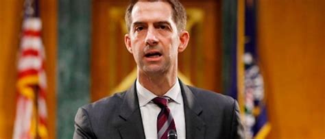 EXCLUSIVE: Here’s What Tom Cotton Is Expected To Talk About In His RNC Speech | The Daily Caller