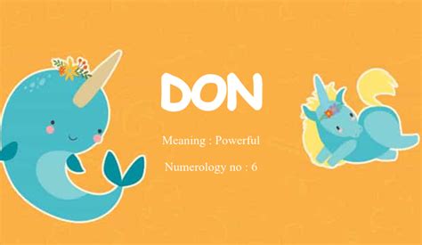 Don Name Meaning