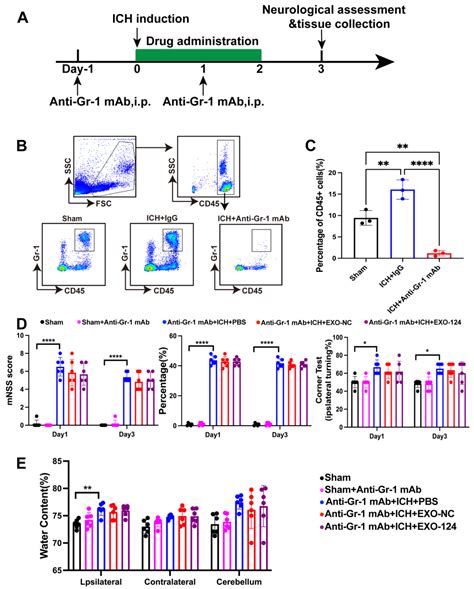 Brain Sciences Free Full Text Intranasal Delivery Of Gene Edited