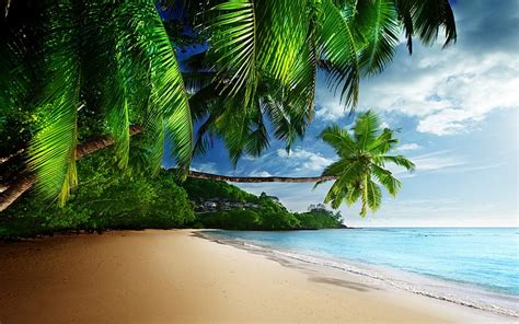 Hd Wallpaper Coconut Trees Near Beach Palm Trees Beautiful Beach