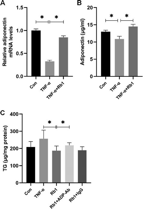 Grb Attenuated Tg Accumulation In Hepatocytes Through Increasing