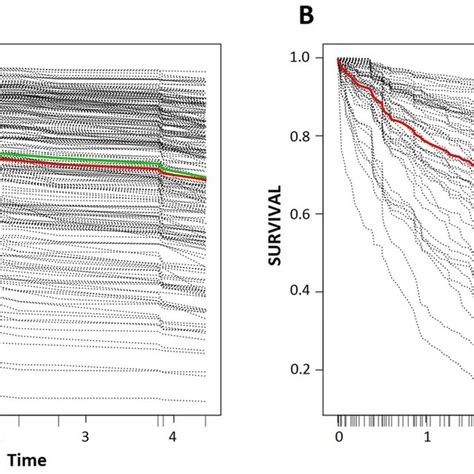 Predicted individual survival curves according to the most accurate ... 