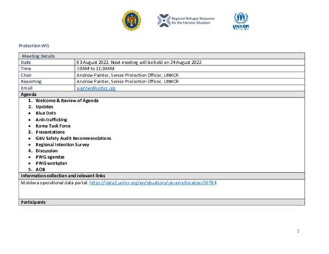 Document Ukraine Situation Moldova Protection Working Group