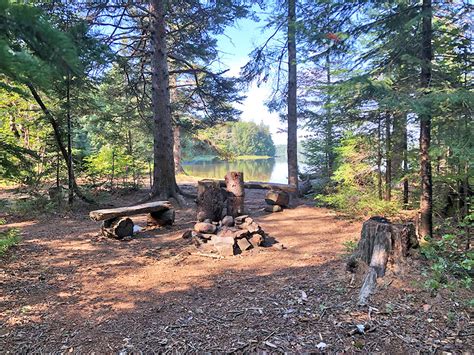 Harry Lake Campsite 1 In Algonquin Park Campsite Report