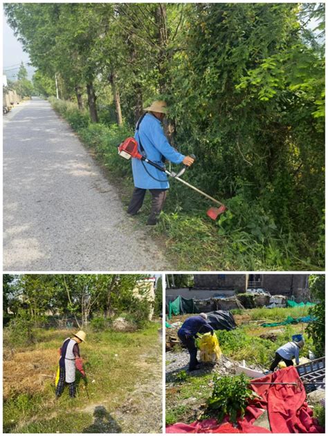 杨桥镇余墩村：整治人居环境，擦亮乡村振兴底色 杨桥镇 宜秀网