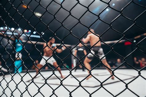 Mma Combat Sports Australia Home In Mma