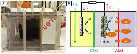 Frontiers The Potential Of Bioelectrochemical Sensor For Monitoring