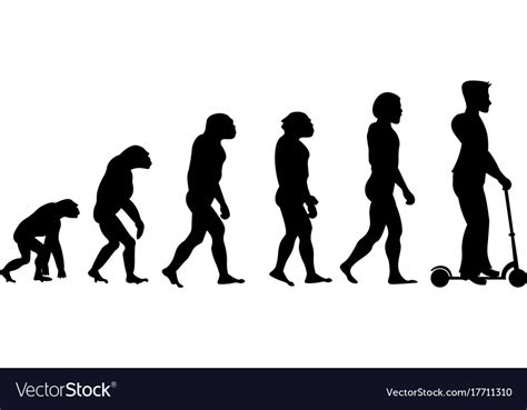 Theory Evolution Of Human From Monkey To Man On Vector Image