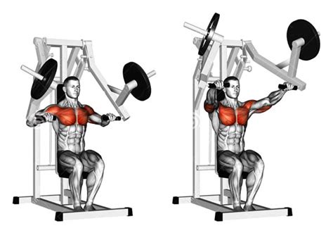 How To Single Arm Machine Chest Press Videos And Guides