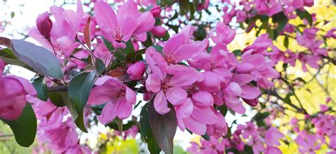 Весна | Пикабу