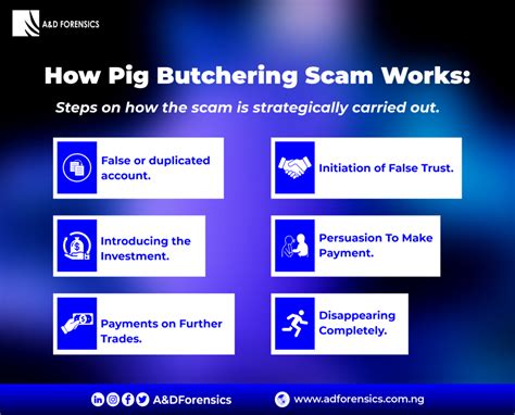 Pig Butchering Scams Key Notes From The FINCEN ALERT On The Rampant