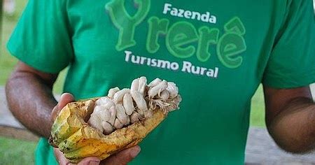 Fazenda de Turismo Rural Investe em Marca Própria de Chocolate