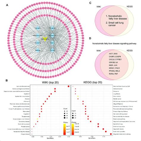 Network Pharmacology Analysis On Target Genes And Disease Of The Download Scientific Diagram