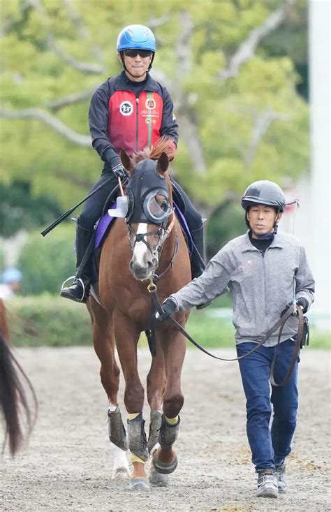 菊花賞出走馬採点表 ― スポニチ Sponichi Annex ギャンブル