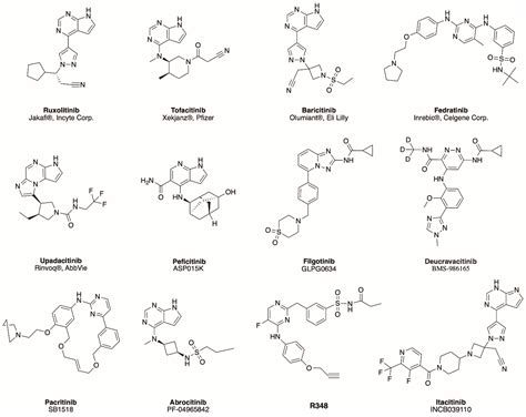 Oclacitinib An Overview Sciencedirect Topics 52 Off