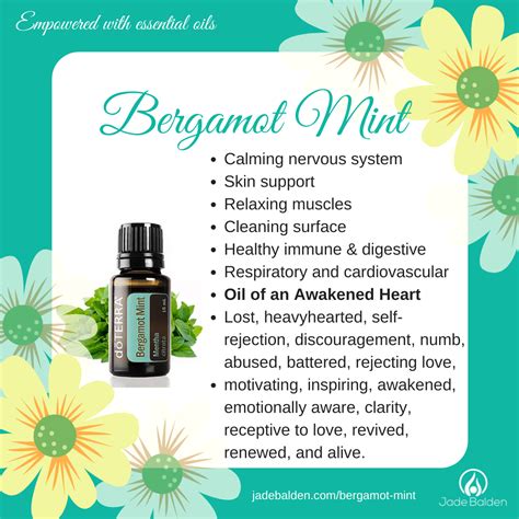 Bergamot Mint Jade Balden