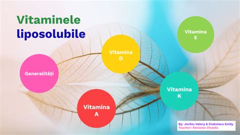 Vitaminele Liposolubile By Valeria Jechiu On Prezi