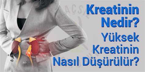 Kreatinin Nedir Y Ksek Kreatinin Nas L D R L R