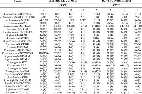 Effect Of Cccp Mg L Efflux Pump Inhibitor On Chx And Bzk Mic Mg L