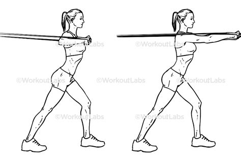 Resistance Band Chest Press Workoutlabs Exercise Guide