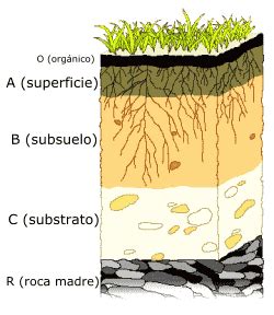 Suelos Origen Componente Formacion Y Tipos De Suelos Geotecnia Y