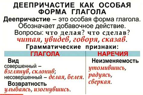 Правила по русскому языку 7 класс - основные понятия и определения